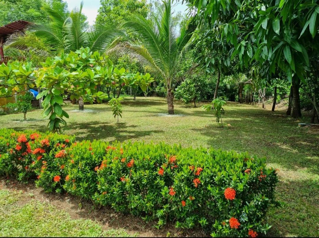 Paraíso terrenal San Juanillo Exterior foto